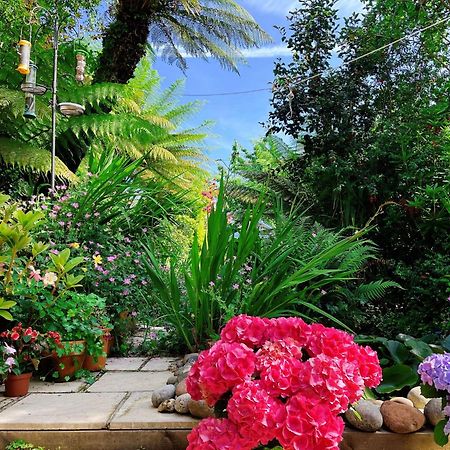 Bed and Breakfast Funky Urban Jungle Кардифф Экстерьер фото